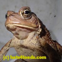 /home//u458753944/public_html/sourcegallery///////////////Roxborough Toad Detour/2013-2019/2018/2018-03-29/P3290087.JPG